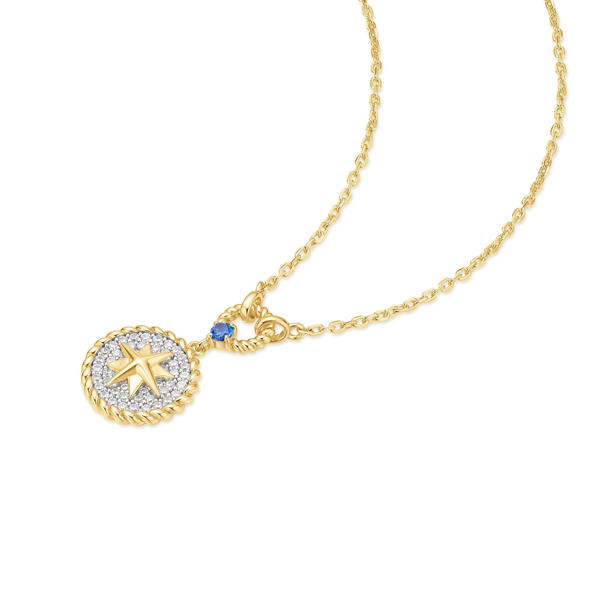 Ania Haie Two-Tone Eight-Pointed Star Signet Necklace
