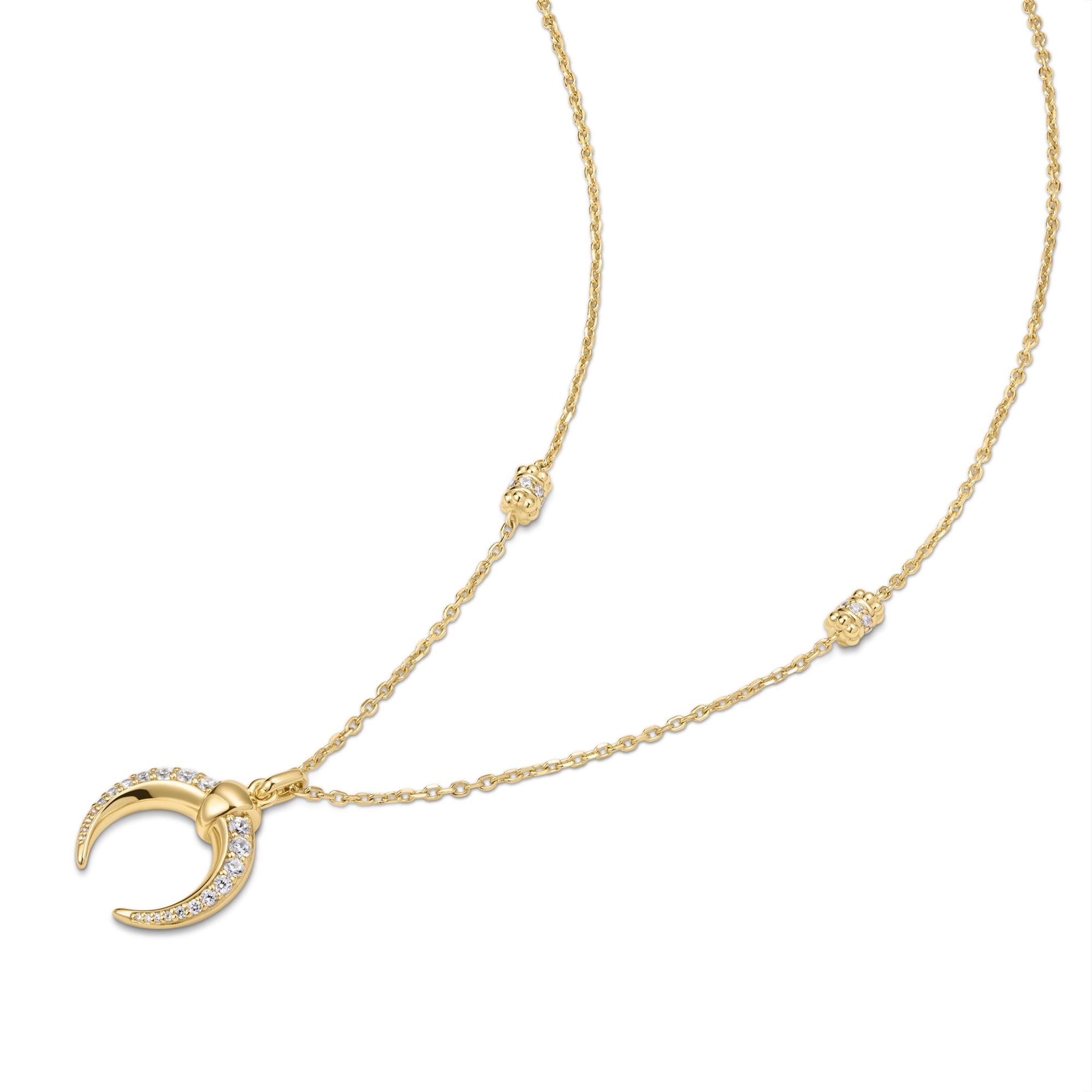 Ania Haie Gold Reversible Horn Necklace