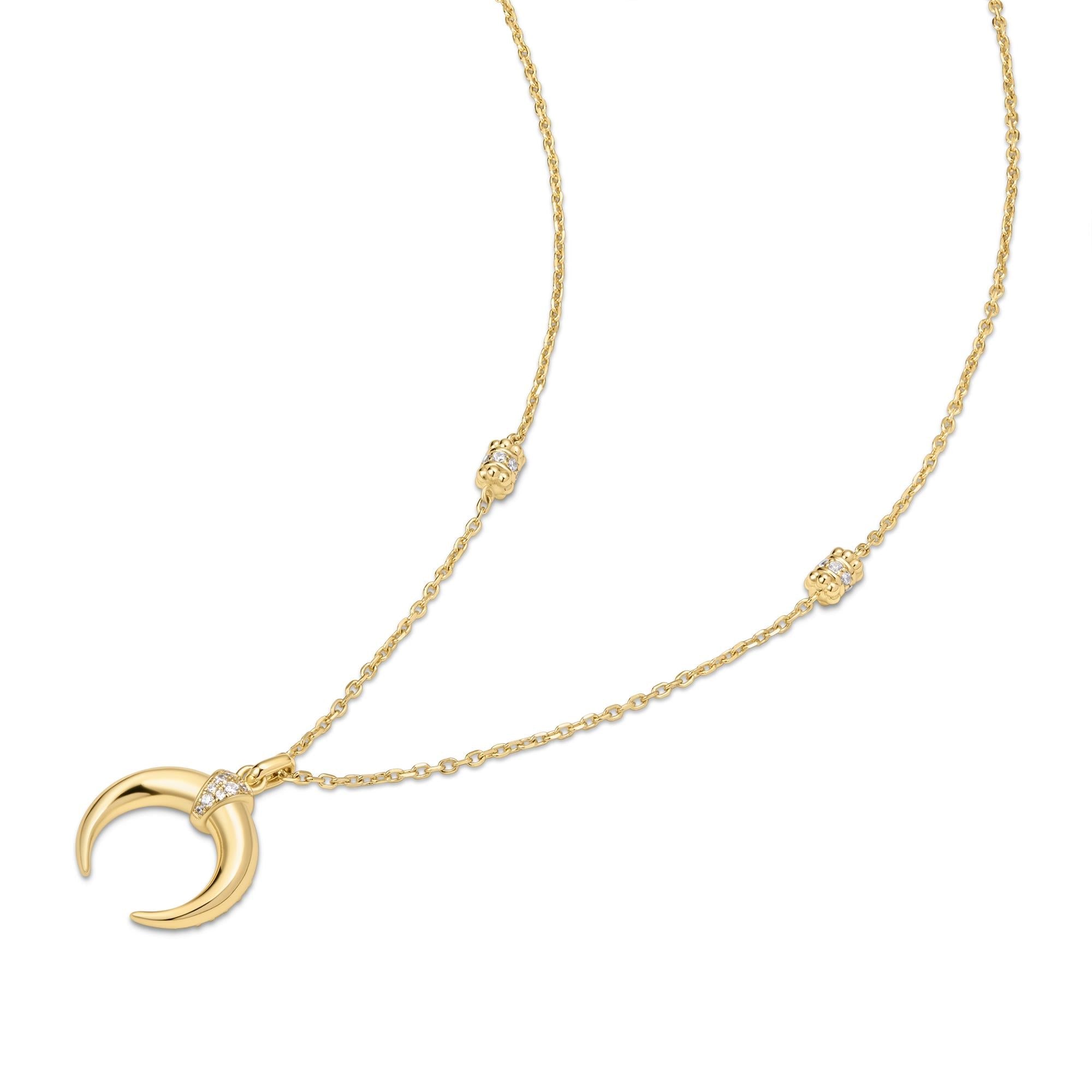 Ania Haie Gold Reversible Horn Necklace