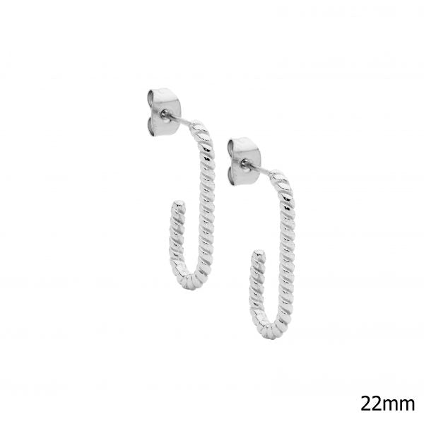 Stainless Steel Hoop Earrings