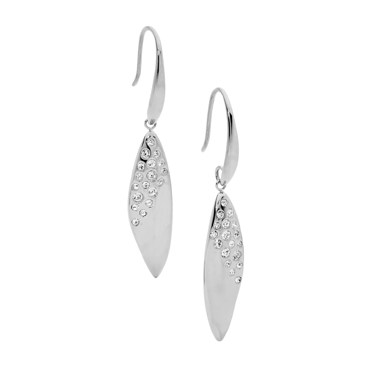 Stainless Steel Drop Earrings