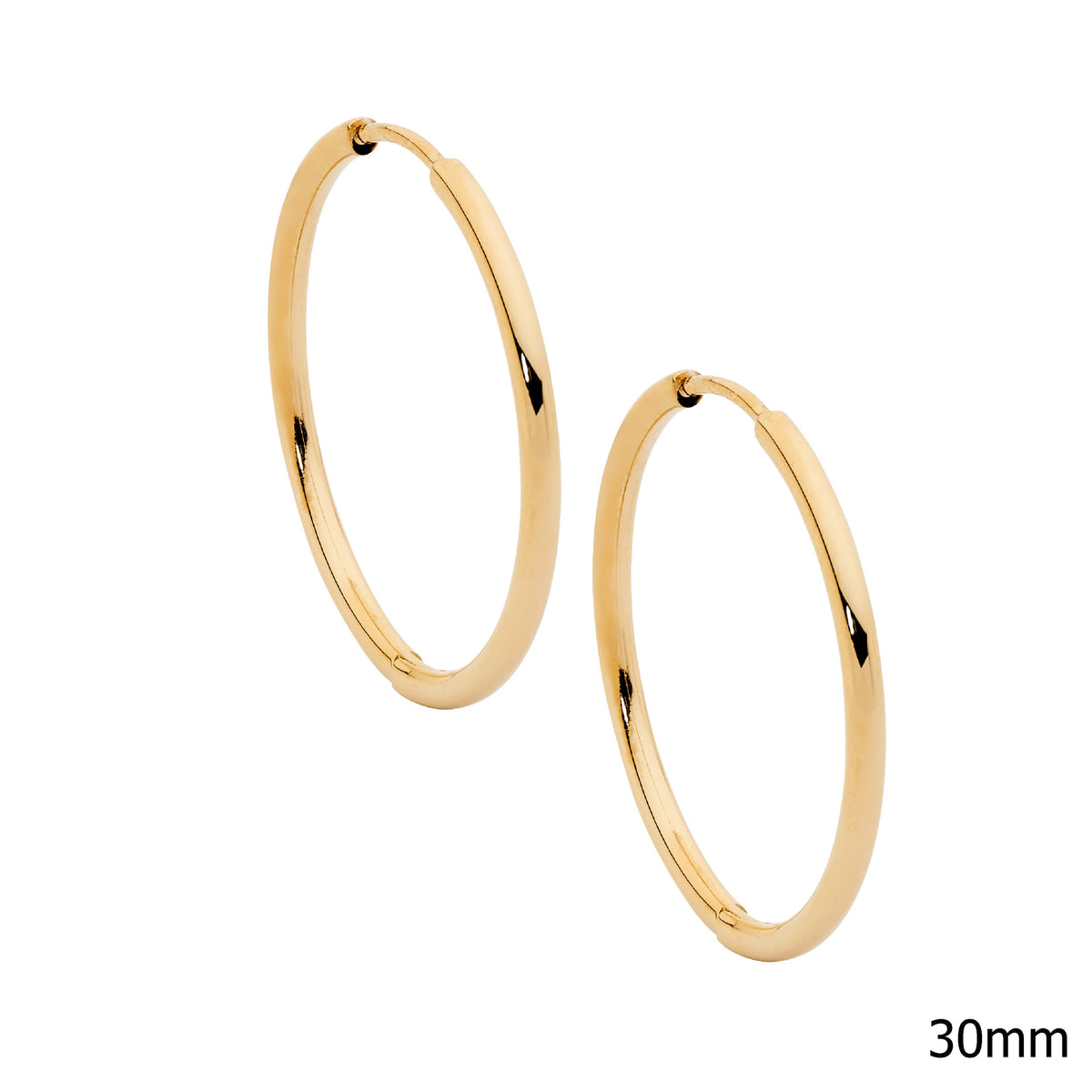Gold Plated Stainless Steel Hoop Earrings
