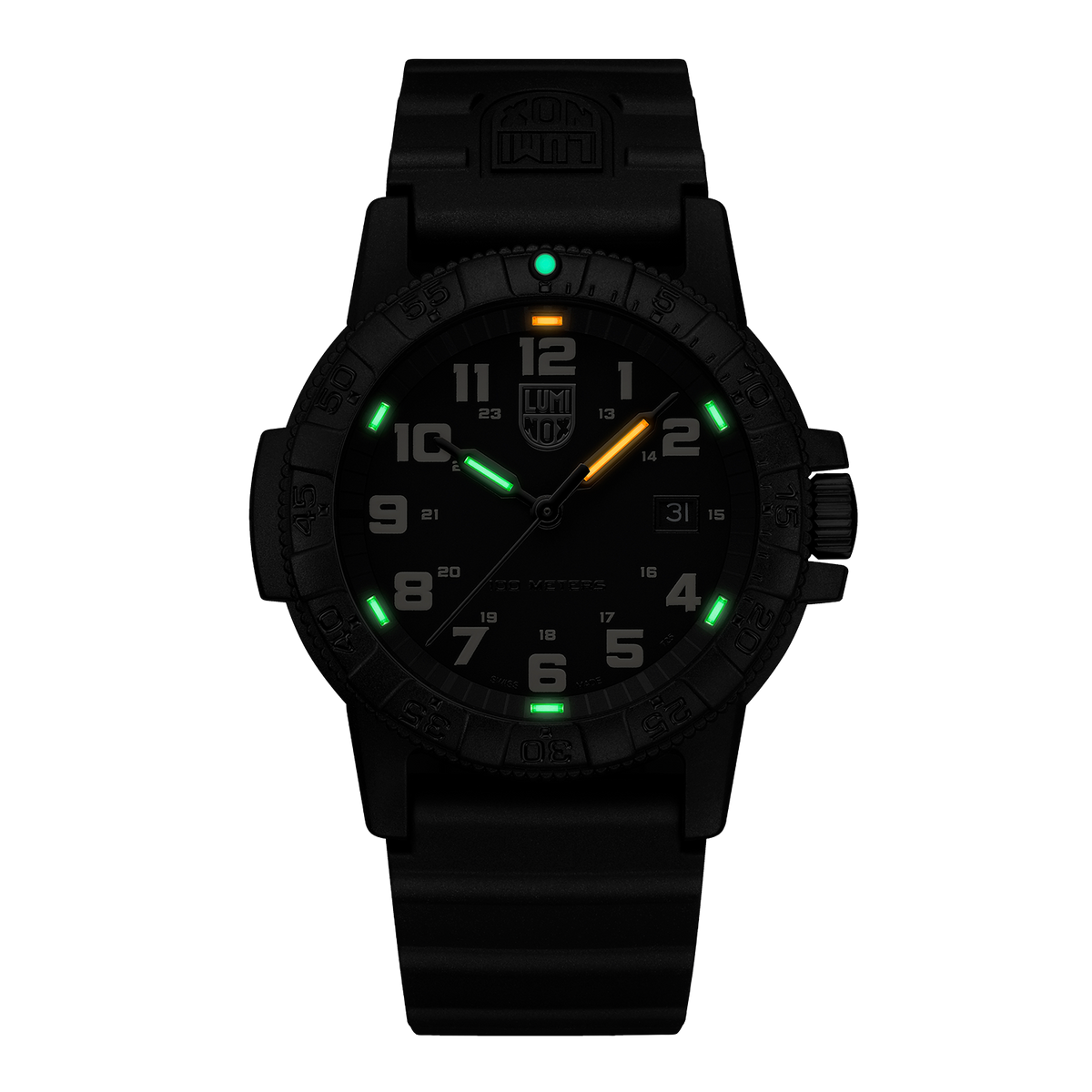 Luminox Leatherback SEA Turtle